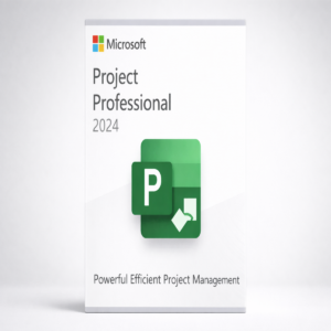 Microsoft Project Professional 2024