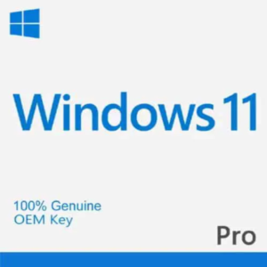 Microsoft Windows 11 Pro OEM Pack